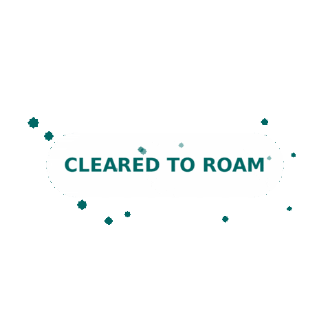 Safety Profile Sticker by Roamate