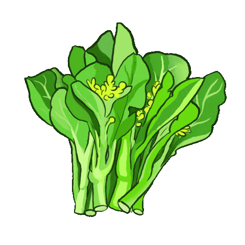 Choy Sum Sticker