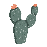 byamyhoang flower aesthetic plant western Sticker
