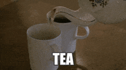 Tea David GIF by Super Deluxe
