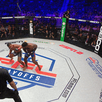 pflmma knockout mma ko espn GIF