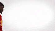 Red Bull Dancing GIF by FC Red Bull Salzburg