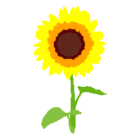 France Flower Sticker by GoZwift