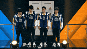 Fw Flashwolves GIF