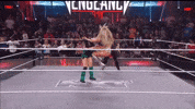Wwe Nxt GIF