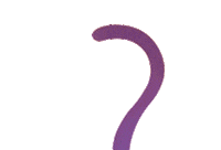 sailor moon cat STICKER