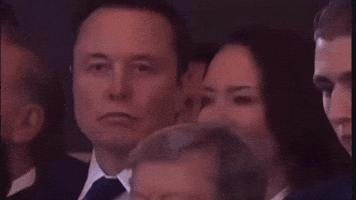Elon Musk GIF