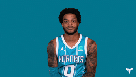Miles Bridges Sport GIF by Charlotte Hornets