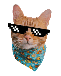 romeuemalelo cat cats gato gatos Sticker