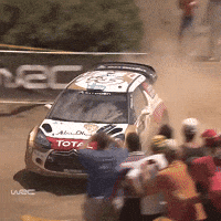 Motorsport Driving GIF by FIA World Rally Championship