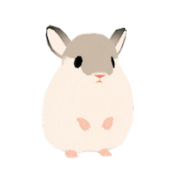 Chinchilla Forester Sticker