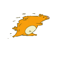 Sport Run Sticker