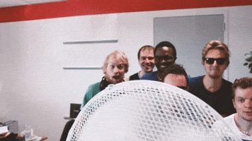 vanderperkgroep hot summer fan fans GIF
