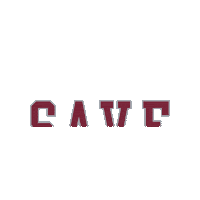 Save Santa Clara University Sticker by Santa Clara Broncos