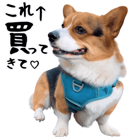 Corgi Milo Sticker