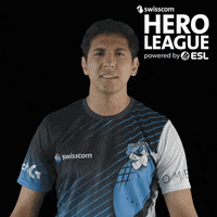 SwisscomHeroLeague reaction what wtf why GIF