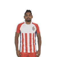 Heroisl Sticker by Indian Super League