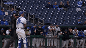 Creighton Baseball GIF by Creighton University Athletics