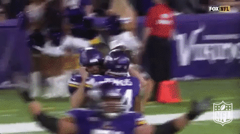 Minnesota Vikings Football GIF by NFL