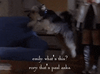 season 6 netflix GIF by Gilmore Girls 