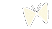 Butterfly 蝶 Sticker