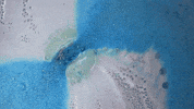 lush cosmetics bath GIF by Lush