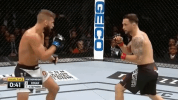 ufc 205 mma GIF by UFC