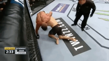 ufc 205 mma GIF by UFC