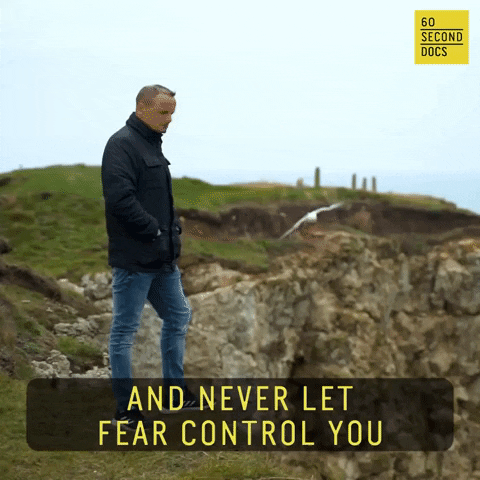 Bird Fear GIF by 60 Second Docs