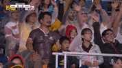 World Rugby Sport GIF by Rugby World Cup