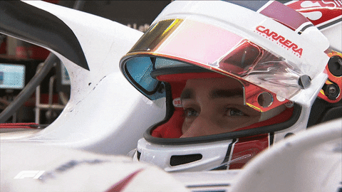 Charles Leclerc Flirt GIF by Formula 1