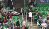 angry bear GIF