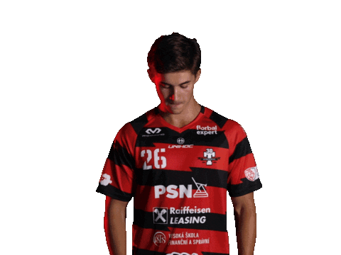 Floorball Salibandy Sticker by Tatran Stresovice