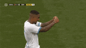 Branislav Ivanovic Fist Bump GIF by Zenit Football Club