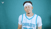 Hive Mentality Seth Curry GIF by Charlotte Hornets