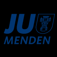 ju-menden cdu ju sauerland junge union GIF