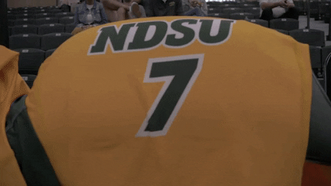 Jersey Bison GIF by NDSU Athletics