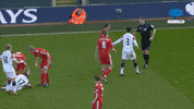 Fight History GIF by MolaTV