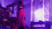 love to live dreams the band GIF by DREAMS