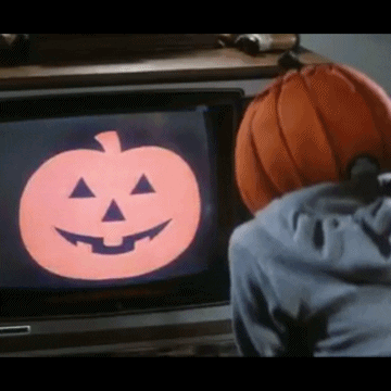 season of the witch horror movies GIF by absurdnoise