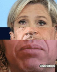 Roulette Politique GIF