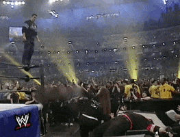 smash shane mcmahon GIF by WWE