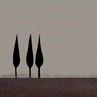 dariuszworks giphyupload GIF