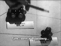 GIF by TVP.PL