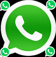 Whatsapp GIF by caxiasautovidros