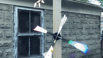 Music Video Flowers GIF by Polyvinyl Records