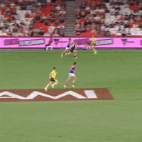 Celebrate Carlton Fc GIF by Carlton Football Club