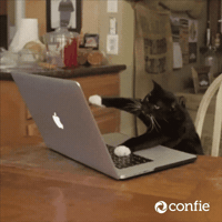 Work Working GIF by Confie MX
