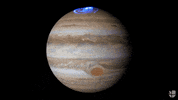GIF by Univision Noticias