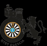 Gestore_Materiali_Nazionale roundtablebrescia rt37 round table brescia GIF